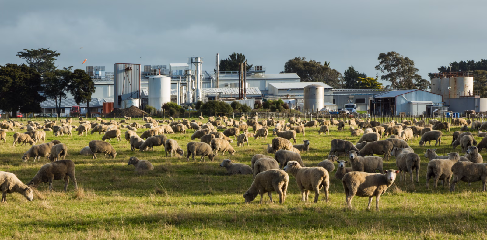 National Livestock Transport